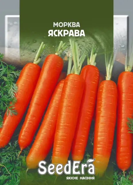 Морква Столова Яскрава