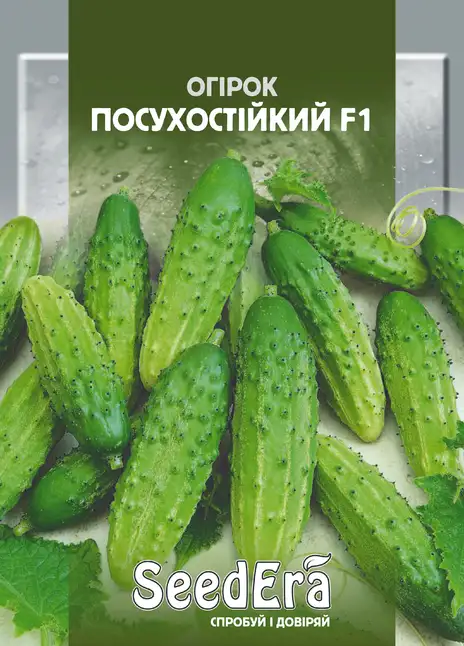 Огірок Посухостійкий F1