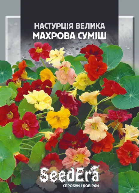 Настурція Велика Махрова Суміш — Photo 1