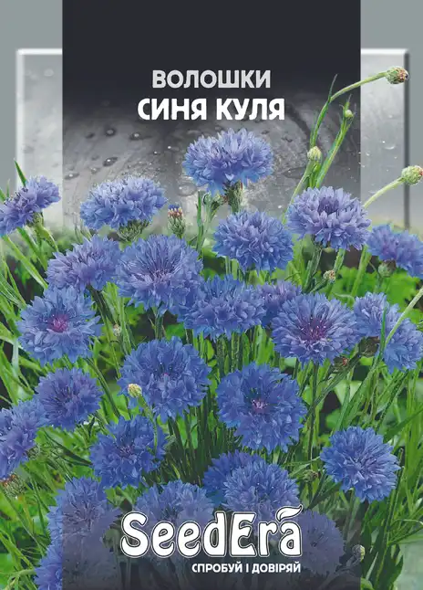 Волошки Польові Синя Куля — Photo 1