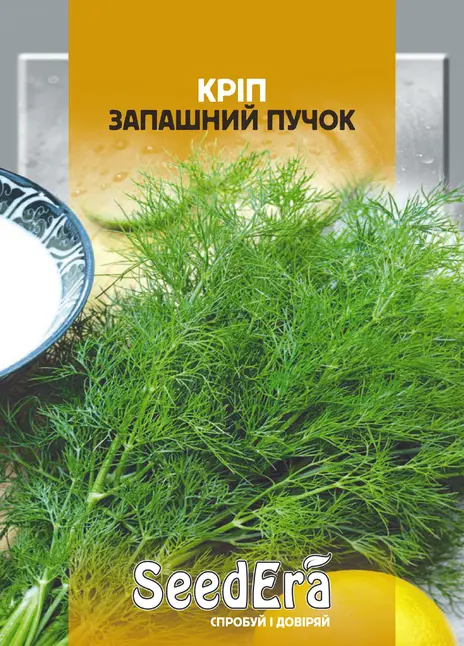 Кріп Запашний Пучок