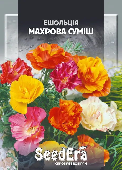 Ешольція Каліфорнійська Махрова Суміш — Photo 1