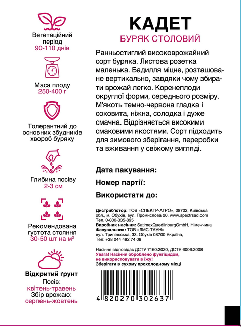 Столовий буряк Кадет — Photo 2