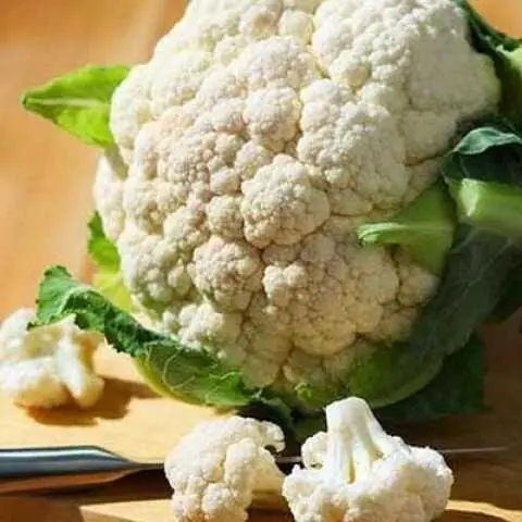 Капуста цвітна Опал 10 шт (Leda Agro) — Photo 3