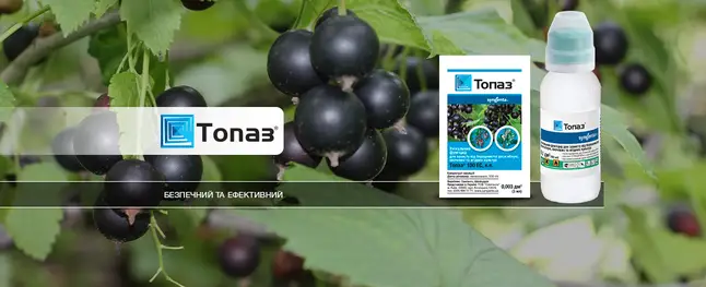 Топаз 100 мл (Syngenta) — Photo 1