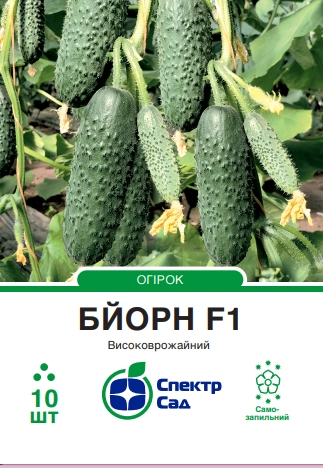 Огірок Бйорн F1