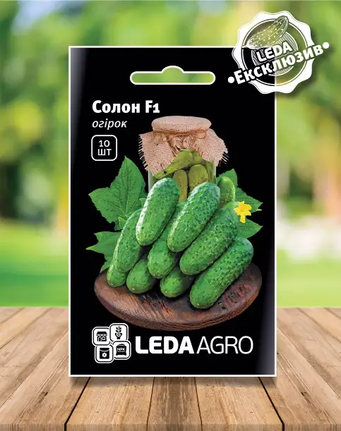 Огірок Солон F1, 10 шт (Leda Agro) — Photo 2