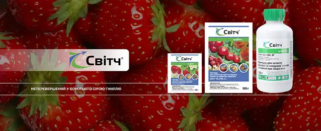 Свитч 10 гр (Syngenta) — Photo 1