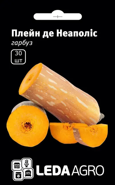 Гарбуз Плейн де Неаполіс, батернат тип, 30 шт (Leda Agro)