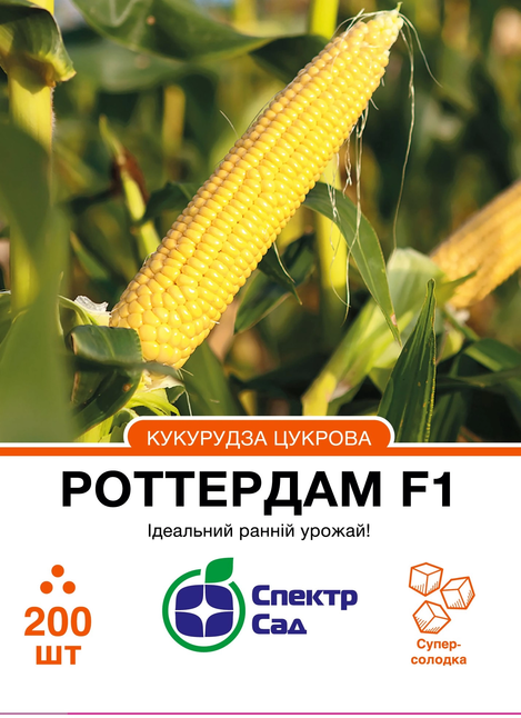 Цукрова кукурудза Роттердам F1