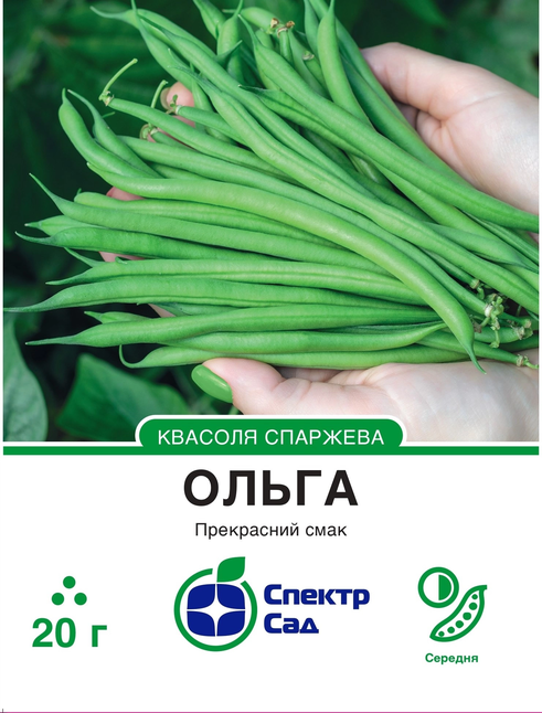 Спаржева квасоля Ольга