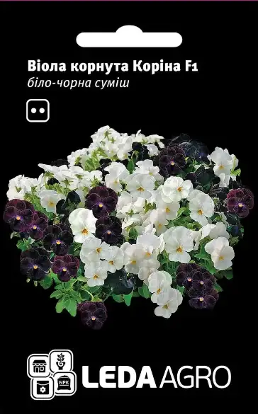 Коріна F1, біло-чорна суміш, віола корнута 10 шт (ЛАН)