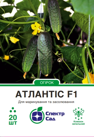 Огірок Атлантіс F1