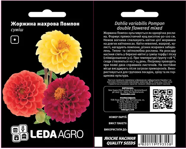 Помпон, жоржіна махрова, суміш 0,2 г (ЛАН)