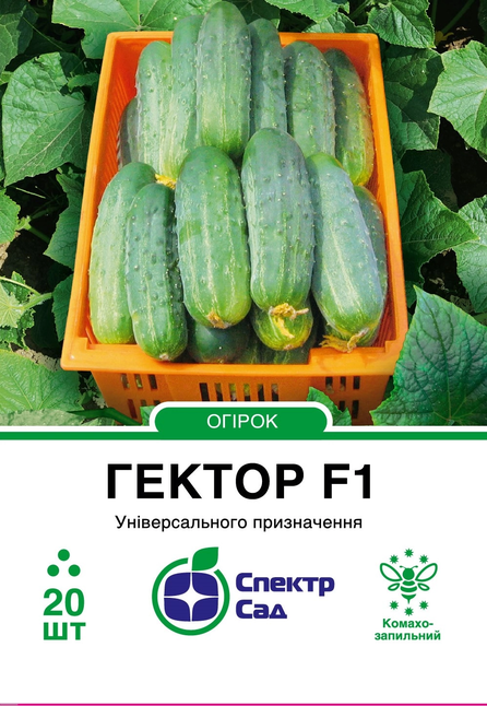 Огірок Гектор F1