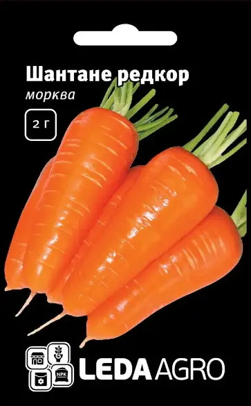 Морква Шантане Редкор 2 г (Leda Agro)