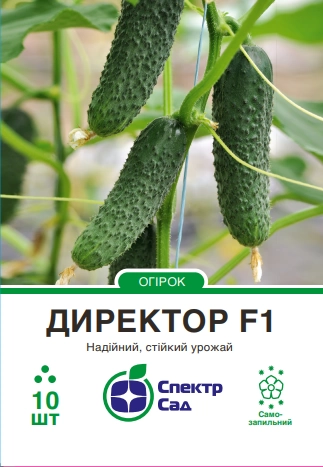 Огірок Директор F1