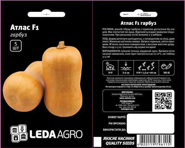 Гарбуз Атлас F1 5 шт (Leda Agro) — Photo 1