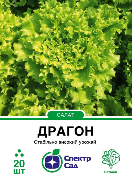 Салат Драгон, тип Батавія