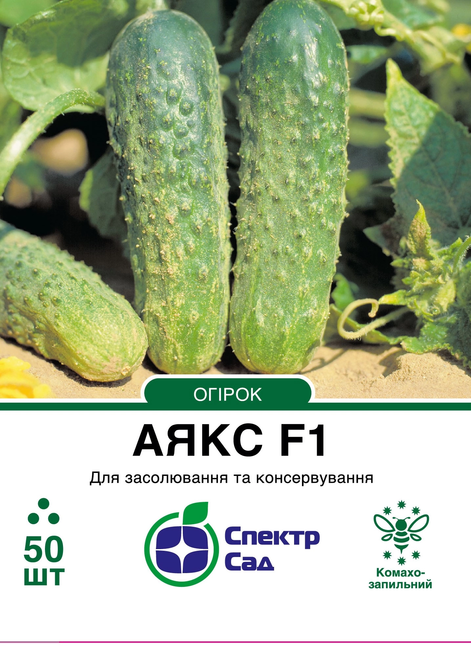 Огірок Аякс F1
