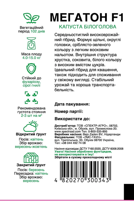 Білоголова капуста Мегатон F1 — Photo 2