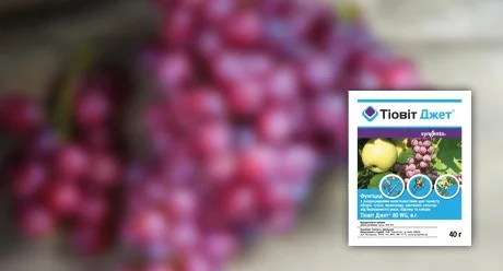 Тіовіт Джет 40 г (Syngenta) — Photo 1