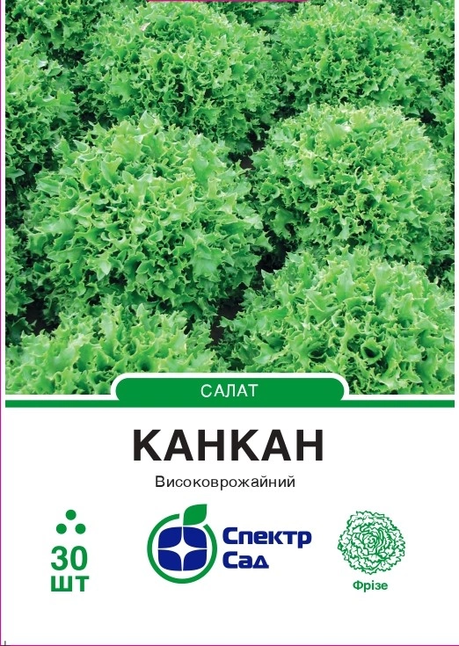 Салат Канкан, тип Фрізе