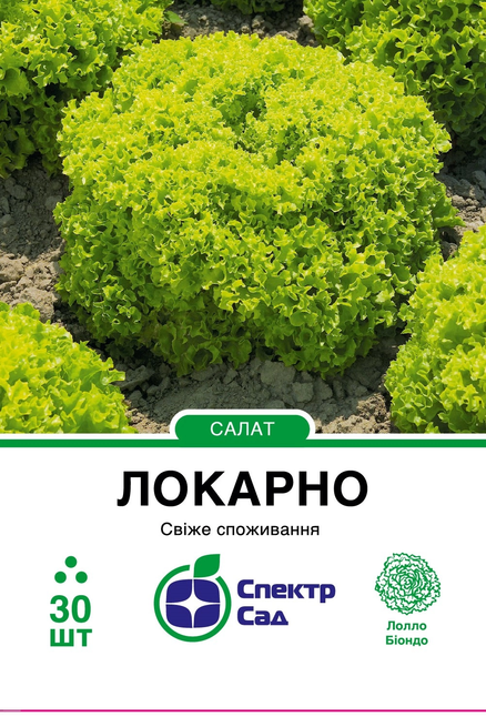 Салат Локарно, тип Лолло Біондо