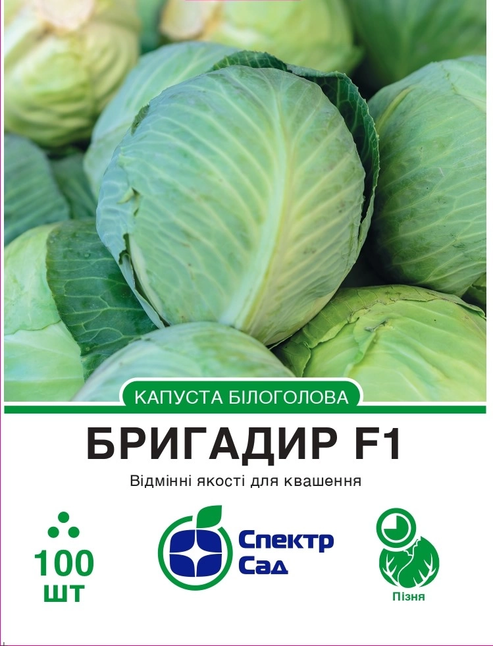 Білоголова капуста Бригадир F1