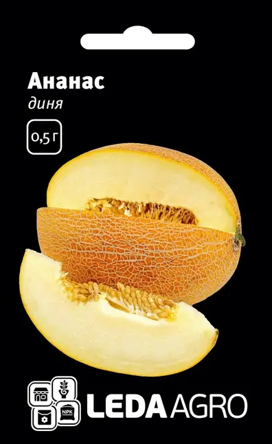 Диня Ананас, надрання, 0,5 г (Leda Agro)