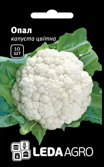Капуста цвітна Опал 10 шт (Leda Agro)