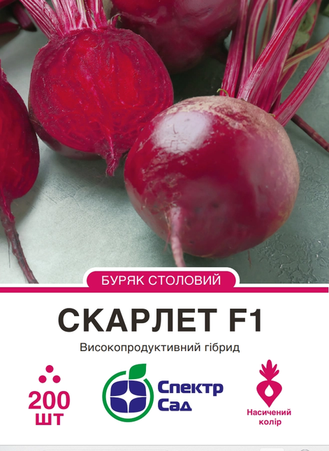 Столовий буряк Скарлет F1