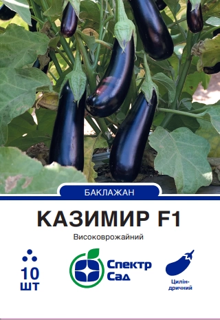 Баклажан Казимир F1