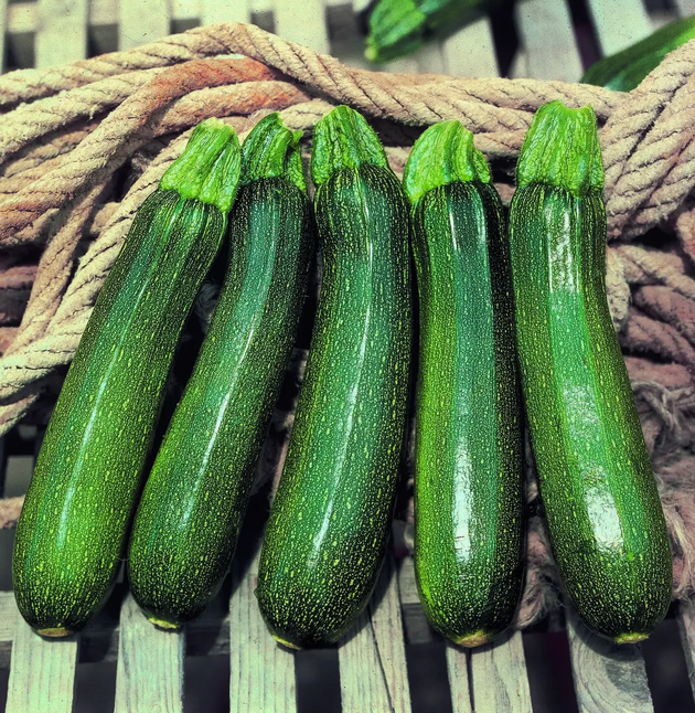 Кабачок Кора F1, цукіні ранній, 5 шт (Leda Agro) — Photo 2