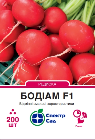 Редиска Бодіам F1