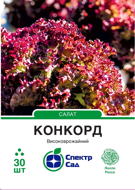 Салат Конкорд