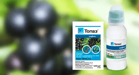 Топаз 3 мл (Syngenta) — Photo 2
