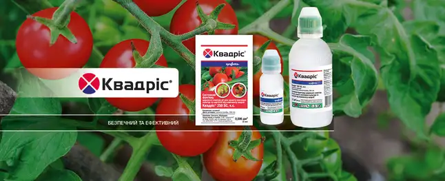 Квадрис 300 мл (Syngenta) — Photo 1