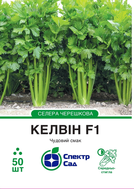 Селера черешкова Келвін F1