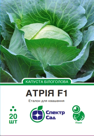 Білоголова капуста Атрія F1