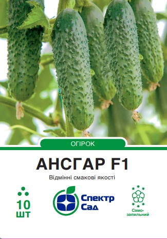 Огірок Ансгар F1