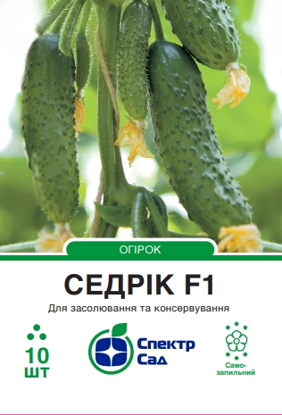 Огірок Седрік F1