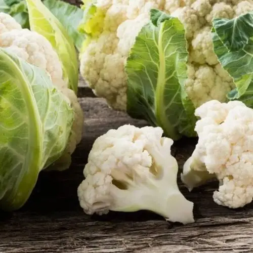 Капуста цвітна Опал 10 шт (Leda Agro) — Photo 2