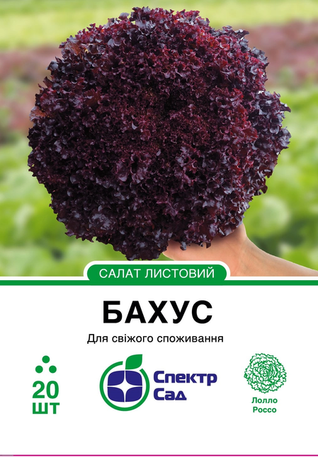 Салат Бахус, тип Лолло Росса