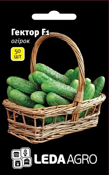 Огірок Гектор F1, кущовий, 50 шт (Leda Agro)