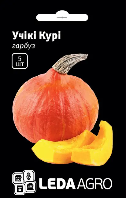Гарбуз Учікі Курі, хокайдо тип, 5 шт (Leda Agro)