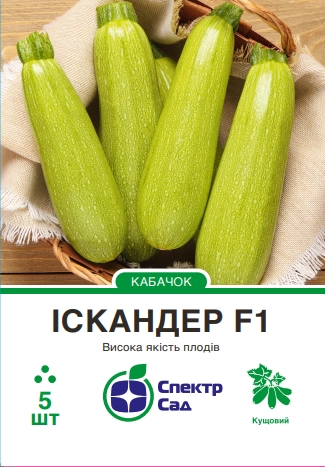 Кабачок Іскандер F1