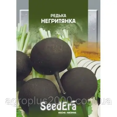 Редиска Негритянка