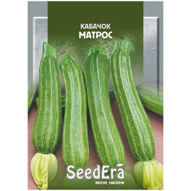 Кабачок Матрос