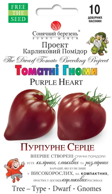 Пурпурне серце (Пурпурове серце), серія "Гноми"